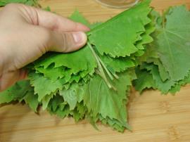 Kurudan Asma Yaprağı