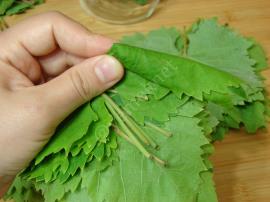 Kurudan Asma Yaprağı