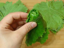 Kurudan Asma Yaprağı