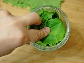 Kurudan Asma Yaprağı