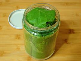 Kurudan Asma Yaprağı