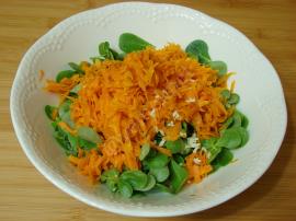 Semizotlu Havuç Tarator