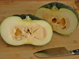 Sütlü Kara Kabak Tatlısı