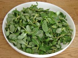 Tavuklu Semizotu Salatası