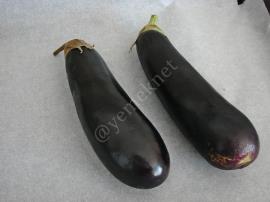 Köz Patlıcanlı Humus