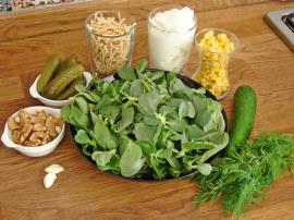 Semizotlu Erişte Salatası