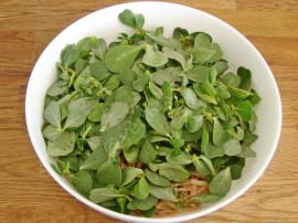 Semizotlu Erişte Salatası