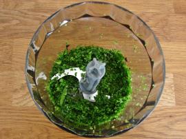 Salatalık Salatası