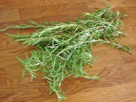 Biberiye Nasıl Kurutulur