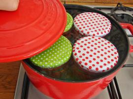 Çiğden Menemen Konservesi