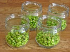 Çiğden Menemen Konservesi