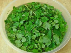 Isırgan Otu Kavurması