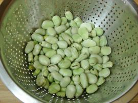 Zeytinyağlı İç Bakla