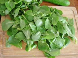 Semizotlu Kaşık Salatası