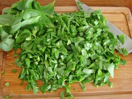 Semizotlu Kaşık Salatası