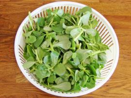 Nohutlu Semizotu Yemeği