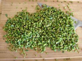 Semizotu Sapı Mücveri