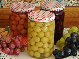 Üzüm Konservesi