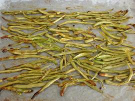 Fırında Taze Fasulye Kızartması