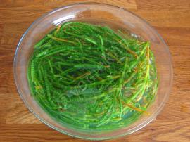 Yoğurtlu Deniz Börülcesi