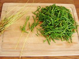 Yoğurtlu Deniz Börülcesi