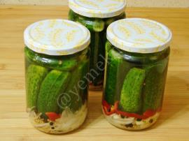 Alman Tipi Salatalık Turşusu