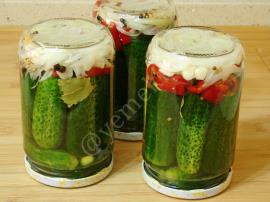 Alman Tipi Salatalık Turşusu