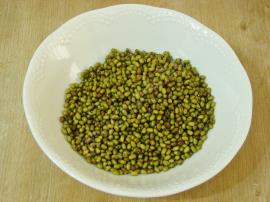 Maş Fasulyesi Salatası