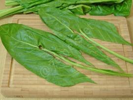 Yoğurtlu Pazı Mezesi