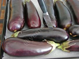 Buzlukta Közlenmiş Patlıcan Saklama