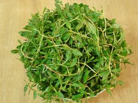 Yoğurtlu Madımak Salatası