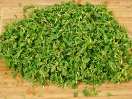 Yoğurtlu Madımak Salatası