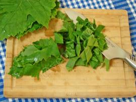 Asma Yaprağı Çorbası