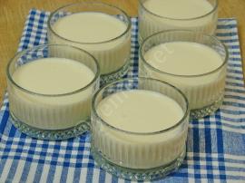 Orman Meyveli Muhallebi