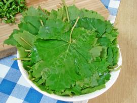 Yoğurtlu Asma Yaprağı Salatası