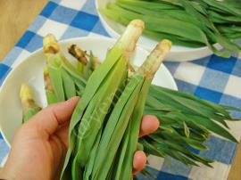 Çiriş Otu Salatası