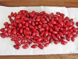 Buzlukta Kızılcık Saklama Yöntemi