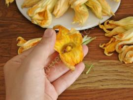 Kabak Çiçeği Dolması