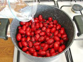 Konsantre Kızılcık Şurubu