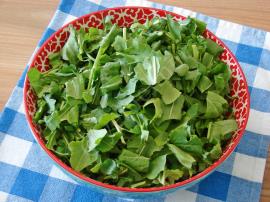 Soğanlı Roka Salatası