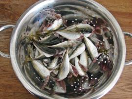 Tavada Salçalı İstavrit