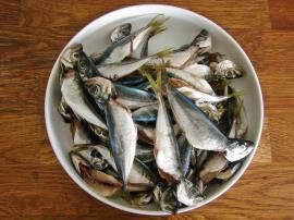 Fırında Kılçıksız İstavrit