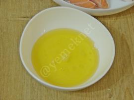 Somon Balığı Marinesi