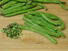 Çiğden Taze Baklayı Buzlukta Saklama Yöntemi