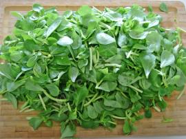 Bulgurlu Semizotu Yemeği