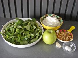 Ekşi Elmalı Semizotu Salatası