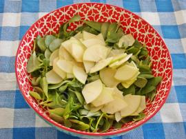 Ekşi Elmalı Semizotu Salatası