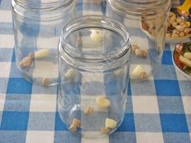 Kornişon Salatalık Turşusu