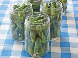 Kornişon Salatalık Turşusu