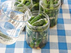 Kornişon Salatalık Turşusu